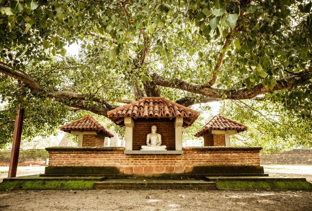 Thaulle Ayurveda Resort - Yala Tissamaharama Extérieur photo